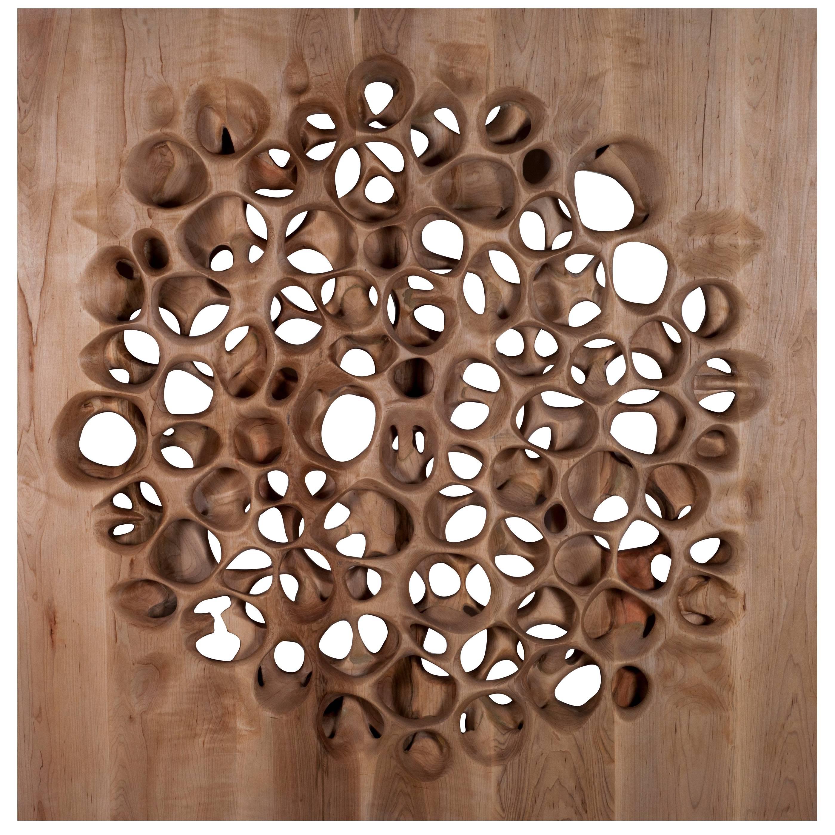 Amorph Loop Wall Panel, Maple Wood, Stained 
