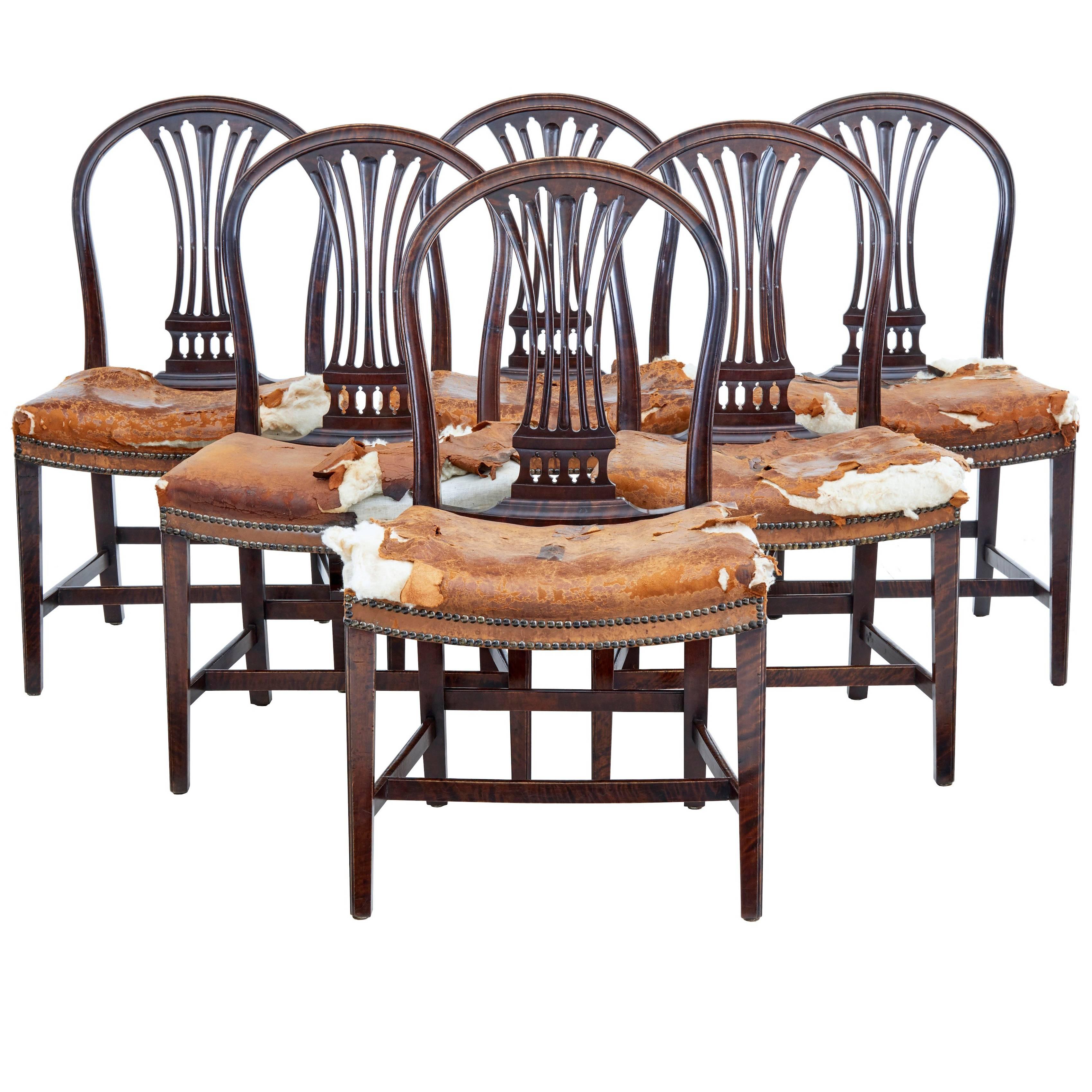 Set of Six, 19th Century Birch Swedish Dining Chairs