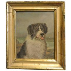 Antique Oil on Canvas of Newfoundland Dog