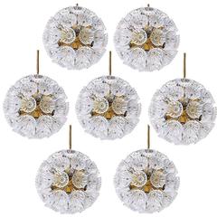 Pair of 12 Eye-Catching Floral Glass and Brass Sputnik Chandeliers, 1960 10