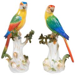 Pair of 19th Century Meissen Parrots 12