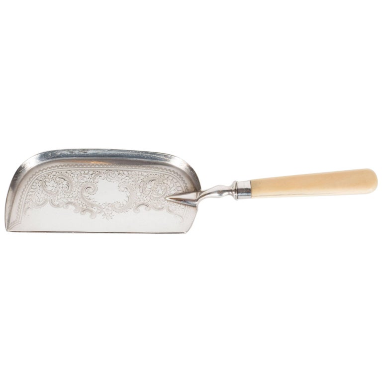 Download Victorian Silver Plate Cake Cutter with Bone Handle and ... Yellowimages Mockups