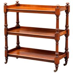 English Trolley or Console Server of Mahogany