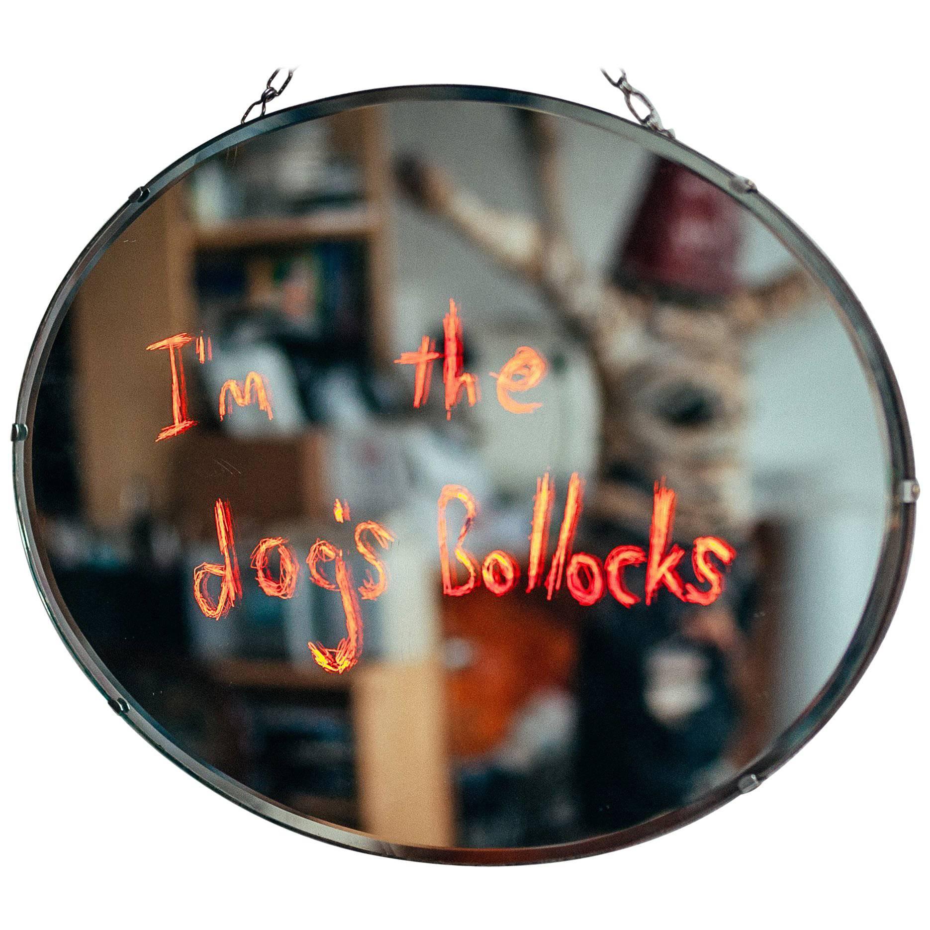 "I'm the Dog's Bollocks" Vintage Oval Shaped Mirror For Sale