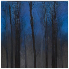 Night Time in the Woods, Wallpaper from the Nature Collection