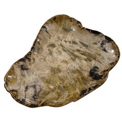 Petrified Wood Tray, Indonesia, Contemporary 3
