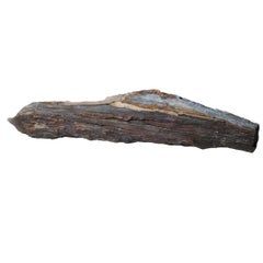 Chinese "Tree Jade" Petrified Wood Specimen 4