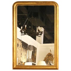 French Large Size Gilded Louis-Philippe Mirror with Etched Vines and Beads