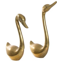 Pair of Brass Geese
