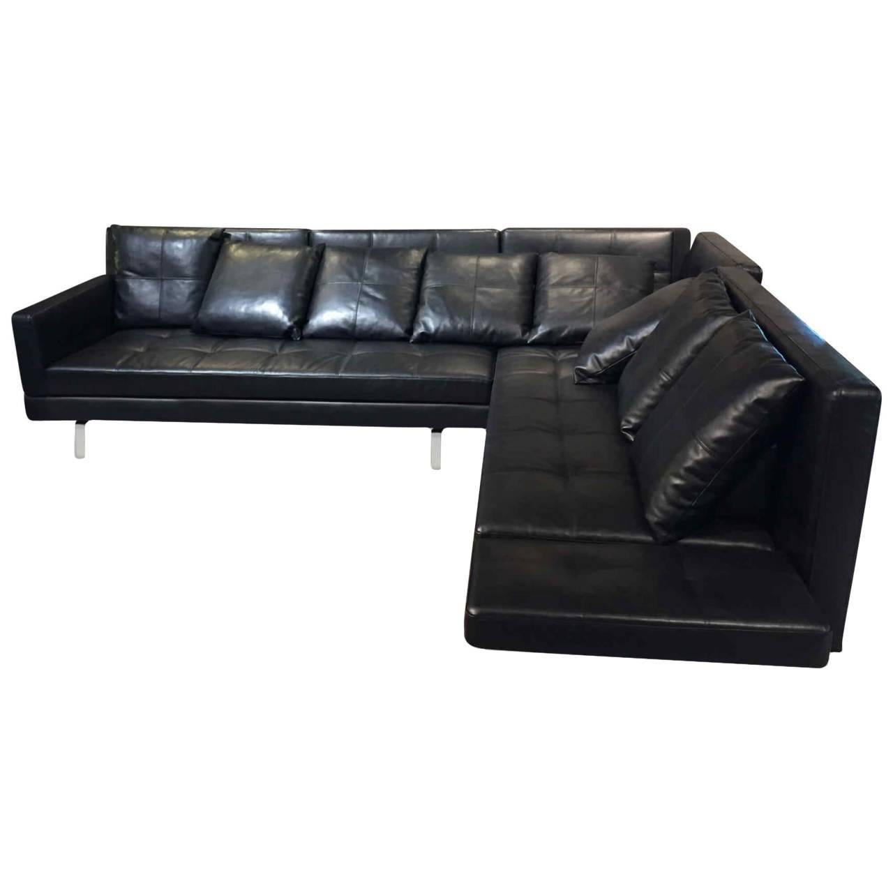 Sofa "Amber" by Manufacturer Brühl in 100% Genuine Leather and Chrome For Sale
