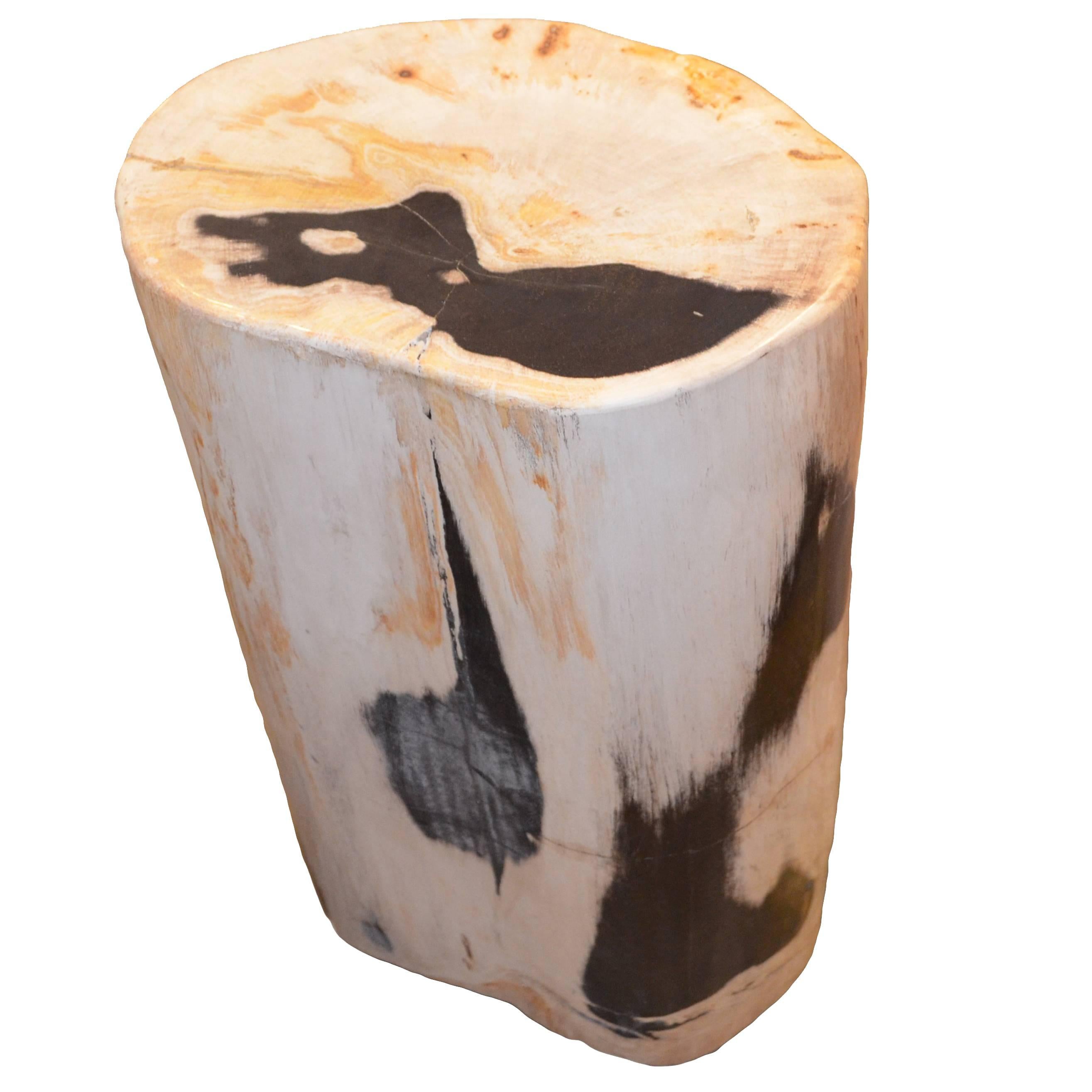 Andrianna Shamaris Petrified Wood Side Table