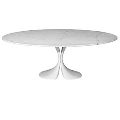 Vintage "Didymos" Oval Marble Top and Crystalplant Base Table by A. Astori for Driade