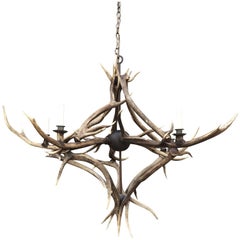 Antler Chandelier with Five Candleholders, circa 1900