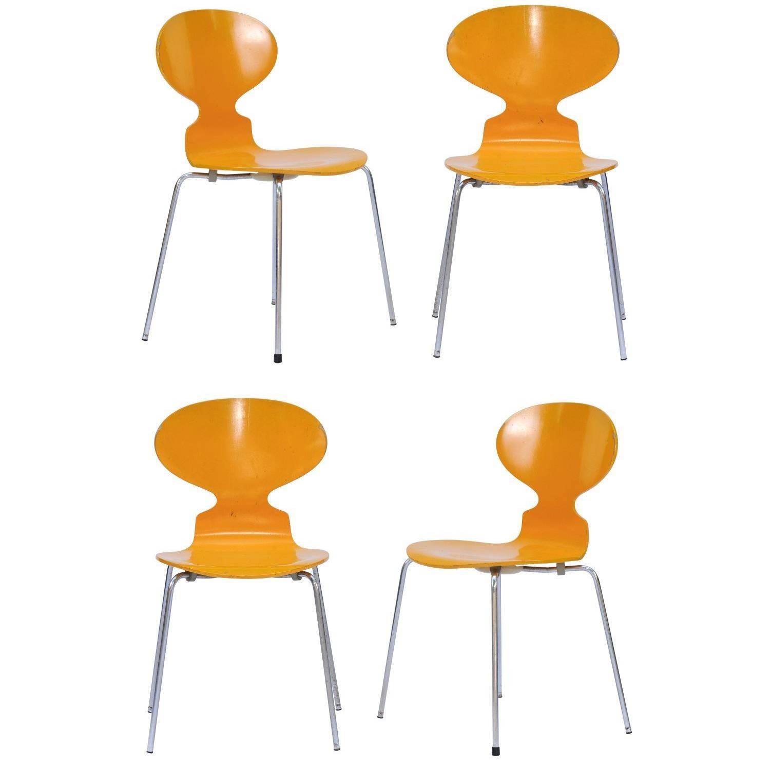Set of Four 1970s Arne Jacobsen Danish 'Fourmi' Side Chairs with Sunny Color