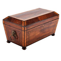 Regency Sarcophagus Form Tea Caddy with Fitted Interior