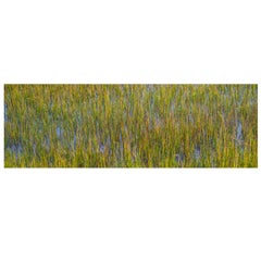 Limited Edition Photographic Color Print Titled Painted Sky by Janet Cass 1