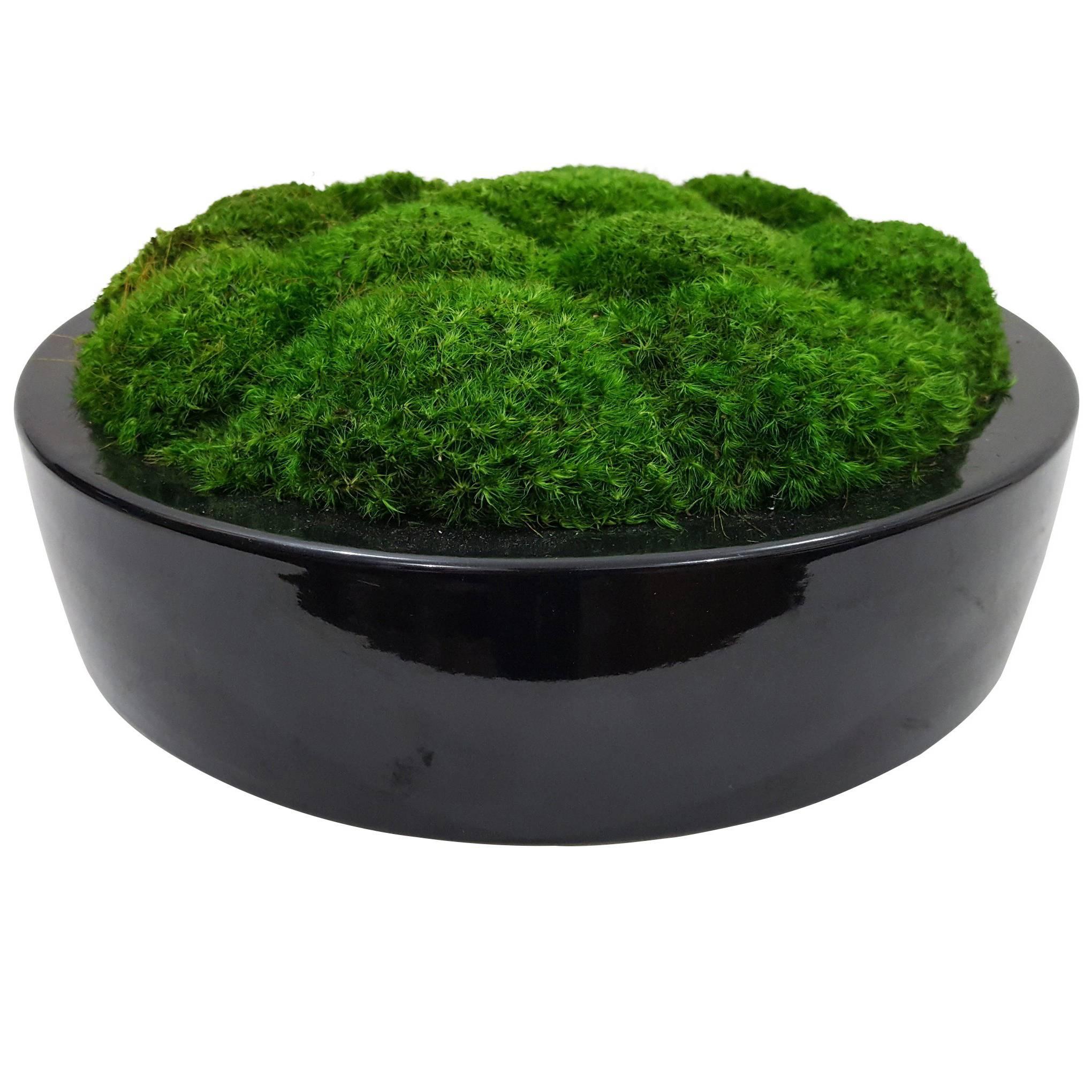 Botanical Ceramic Bowl Black Medium For Sale