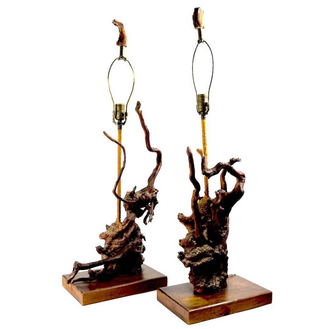 Skulpturale Driftwood-Lampen, Paar