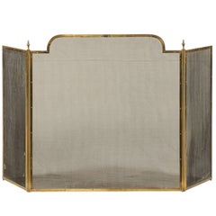 20th Century William Jackson Fire Screen