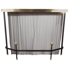 Retro Mid-Century Modern Black Enameled Iron and Brass Fire Screen by Donald Deskey