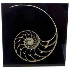 Pierre Giraudon - Sculpture d'inclusion française en résine représentant une coquillage de Nautilus