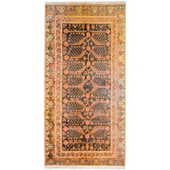 Incredible 1940s Khotan Rug