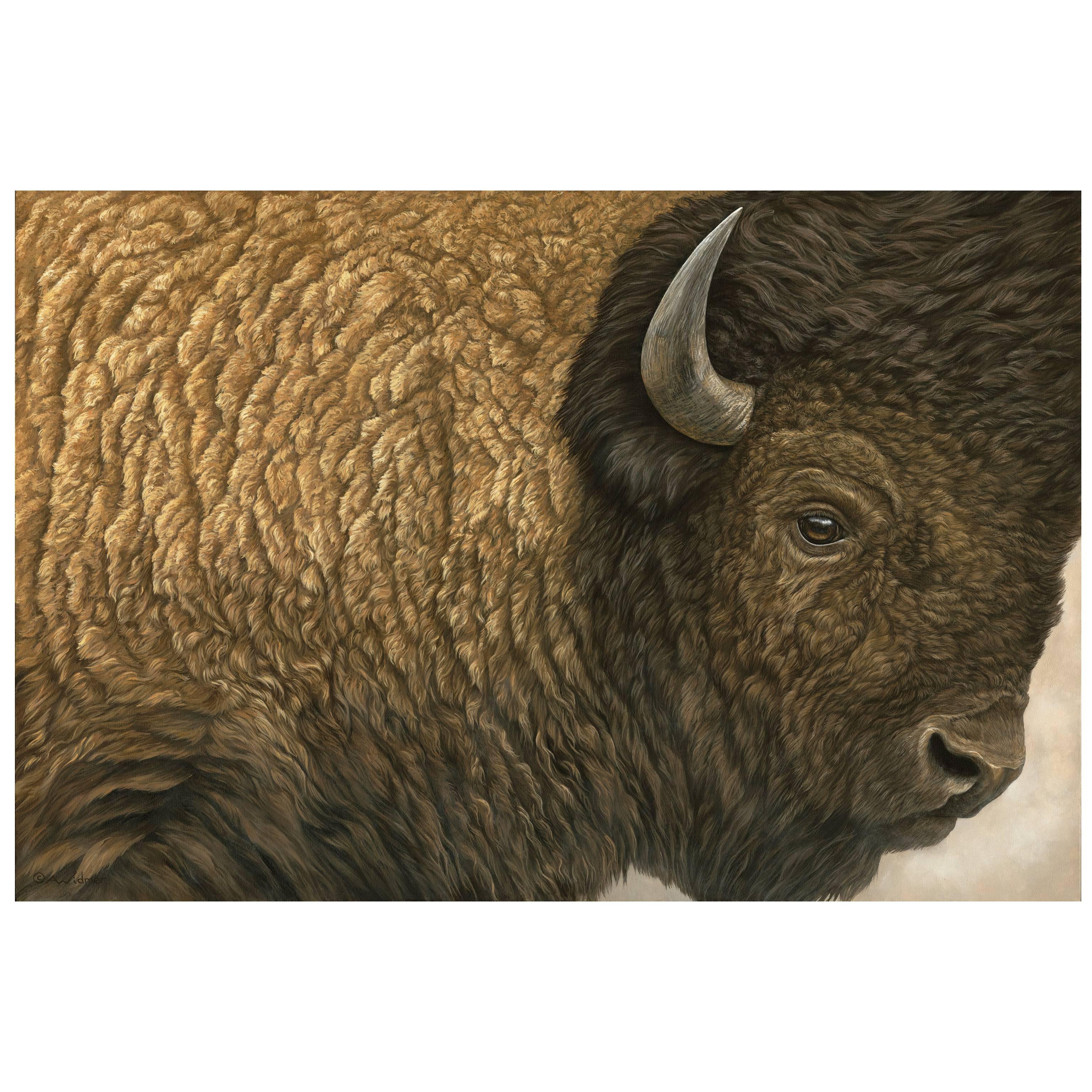 "Close Encounter" Bison Painting by Anna Widmer 