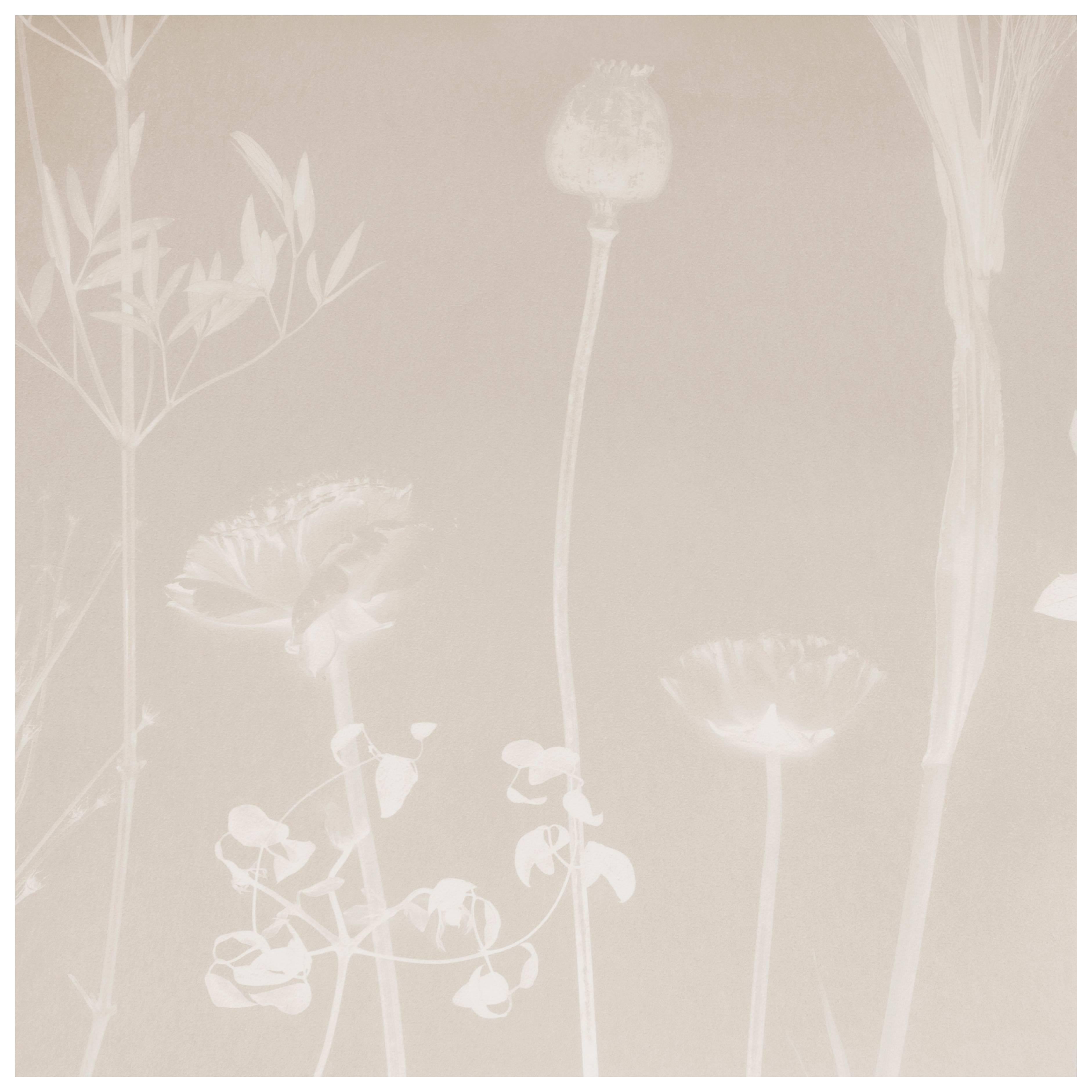 Flora Thistle Wallpaper or Wall Mural in Matte Cyanotype Taupe For Sale