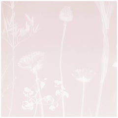 Flora Azalea Wallpaper or Wall Mural in Matte Cyanotype Pale Pink