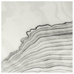 matte black wallpaper Sumi Tempest Wallpaper or Wall Mural in Matte Black and Grey Lines