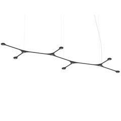 EXCLUSIVE Contemporary Carbon fiber LED modular suspension light