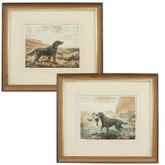 Vintage Hunting Dogs, Labrador and Setter