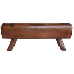 Antique Leather Pommel Horse Bench