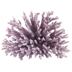 Beautiful Piece of Coral in Light Purple