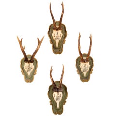Grouping of Antique Bad Ischl Roe Trophies of Emperor Franz Joseph of Austria