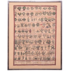 Tibetan Botanical Healer Painting