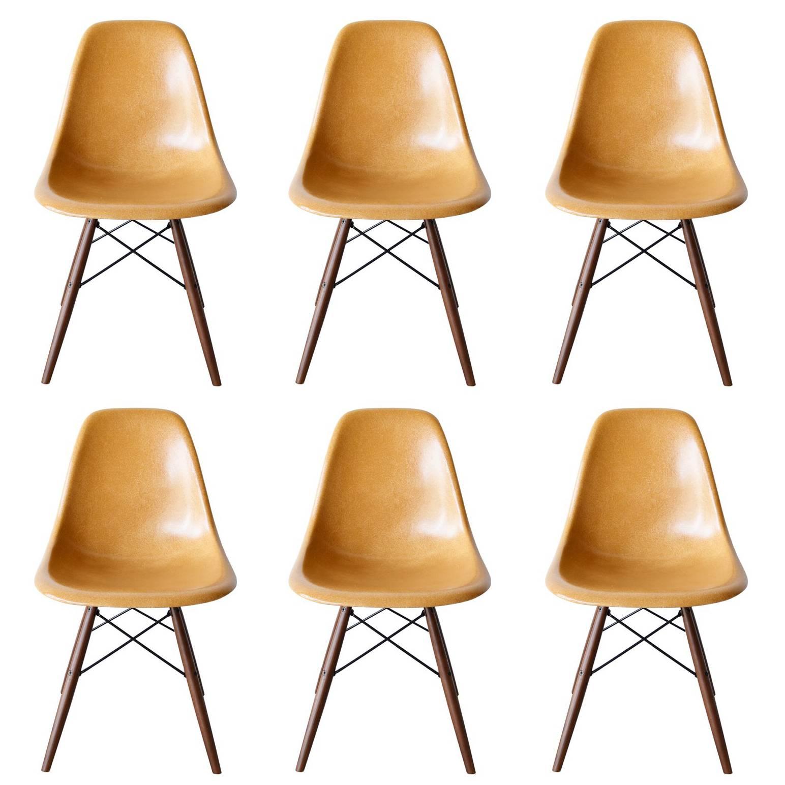 Set of Six Eames Ochre Dark Dsw Herman Miller, Usa Dining Chairs