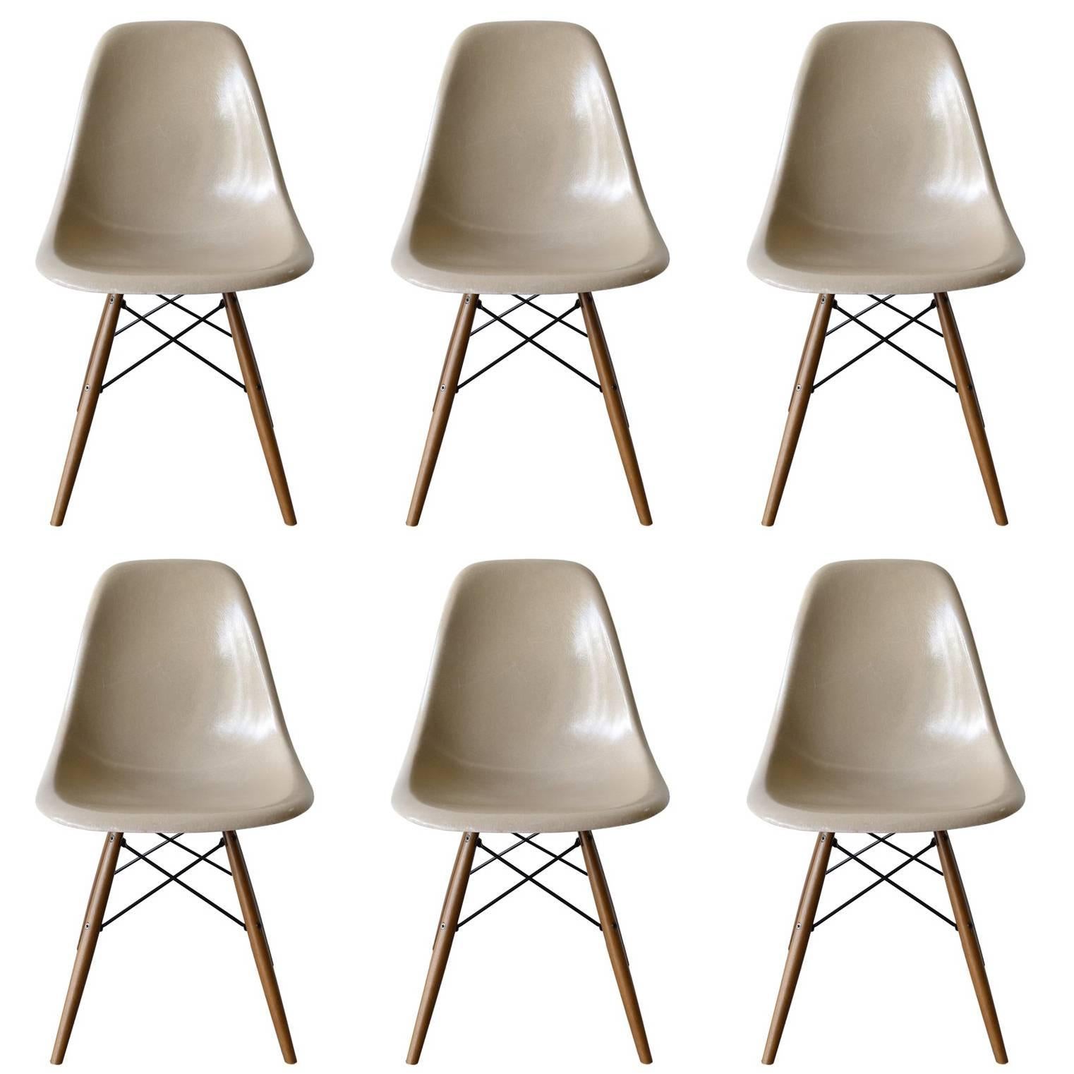 Set of Six Eames Greige DSW Herman Miller, USA Dining Chairs