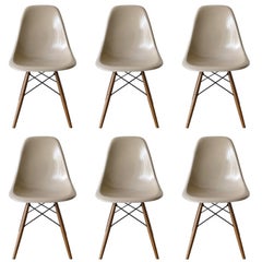 Set of Six Eames Greige DSW Herman Miller, USA Dining Chairs