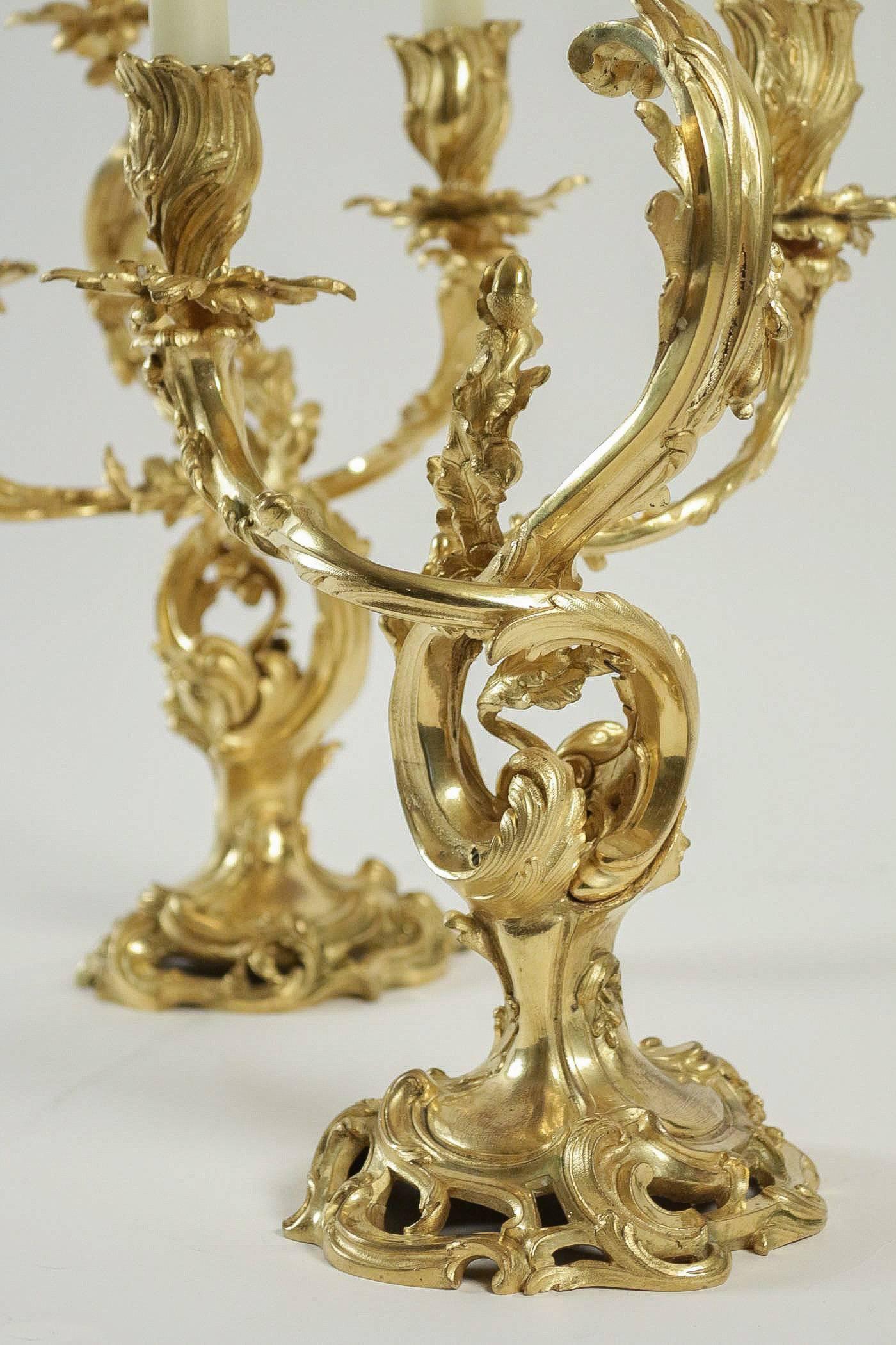 Pair of Candelabra, Ormolu, French Louis XV Rocaille Style, circa 1880 4