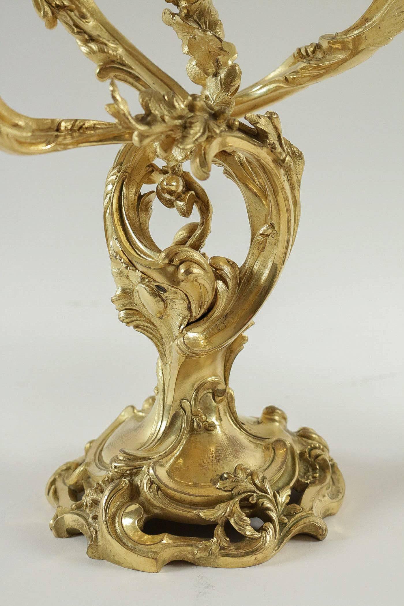 Pair of Candelabra, Ormolu, French Louis XV Rocaille Style, circa 1880 1