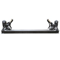 19th Century Polished Cast Iron Fireplace Fender