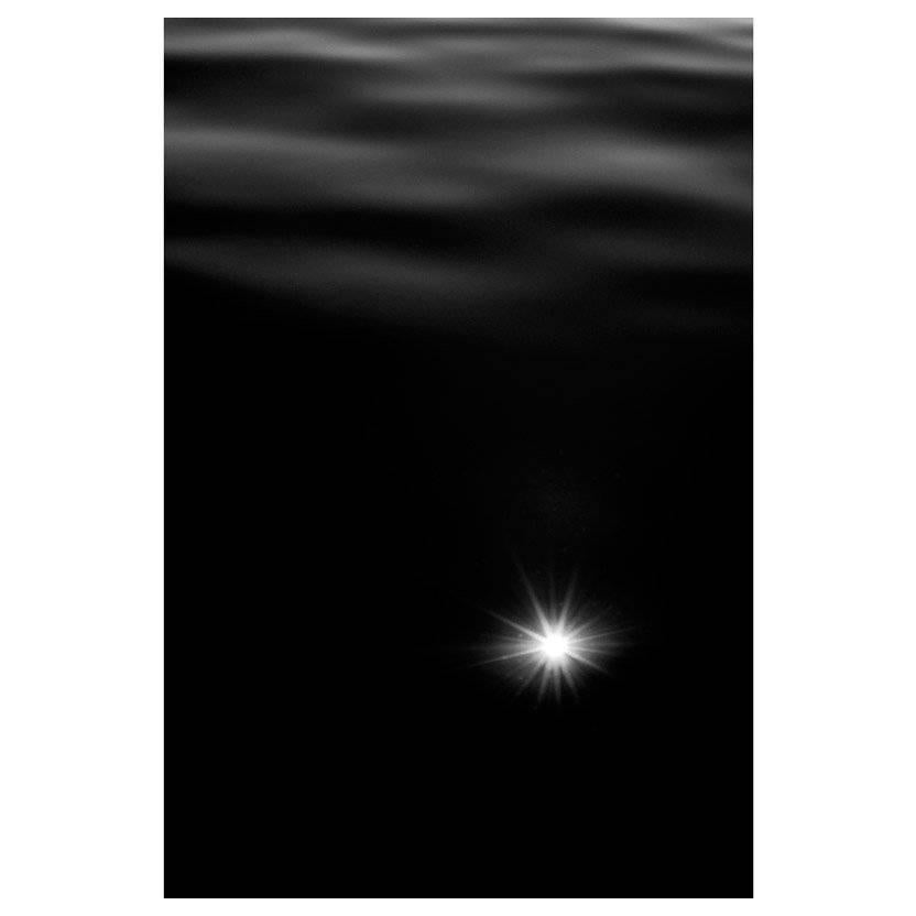 Space Ipsum framed photography, "Micro Beni" 2017 N°1/8 by Laurent Laporte For Sale