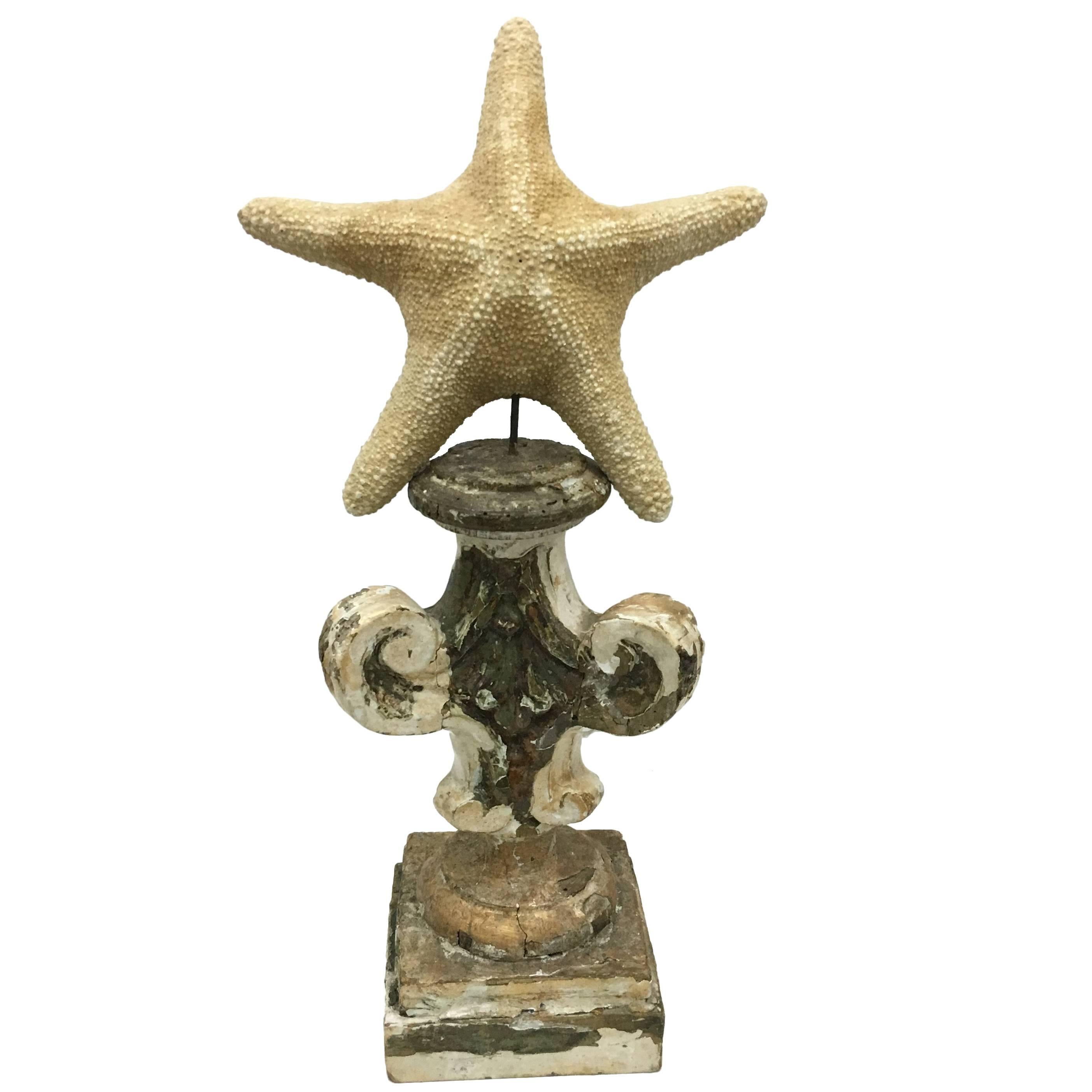 Antique Louis XIV Italian candelabra surmounted  by a Starfish Sicily circa 1700