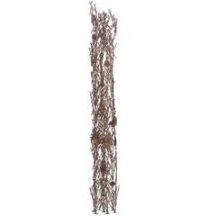 "Reed" by Richard Filipowski
