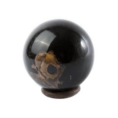 Petrified Wood Decorative Ball