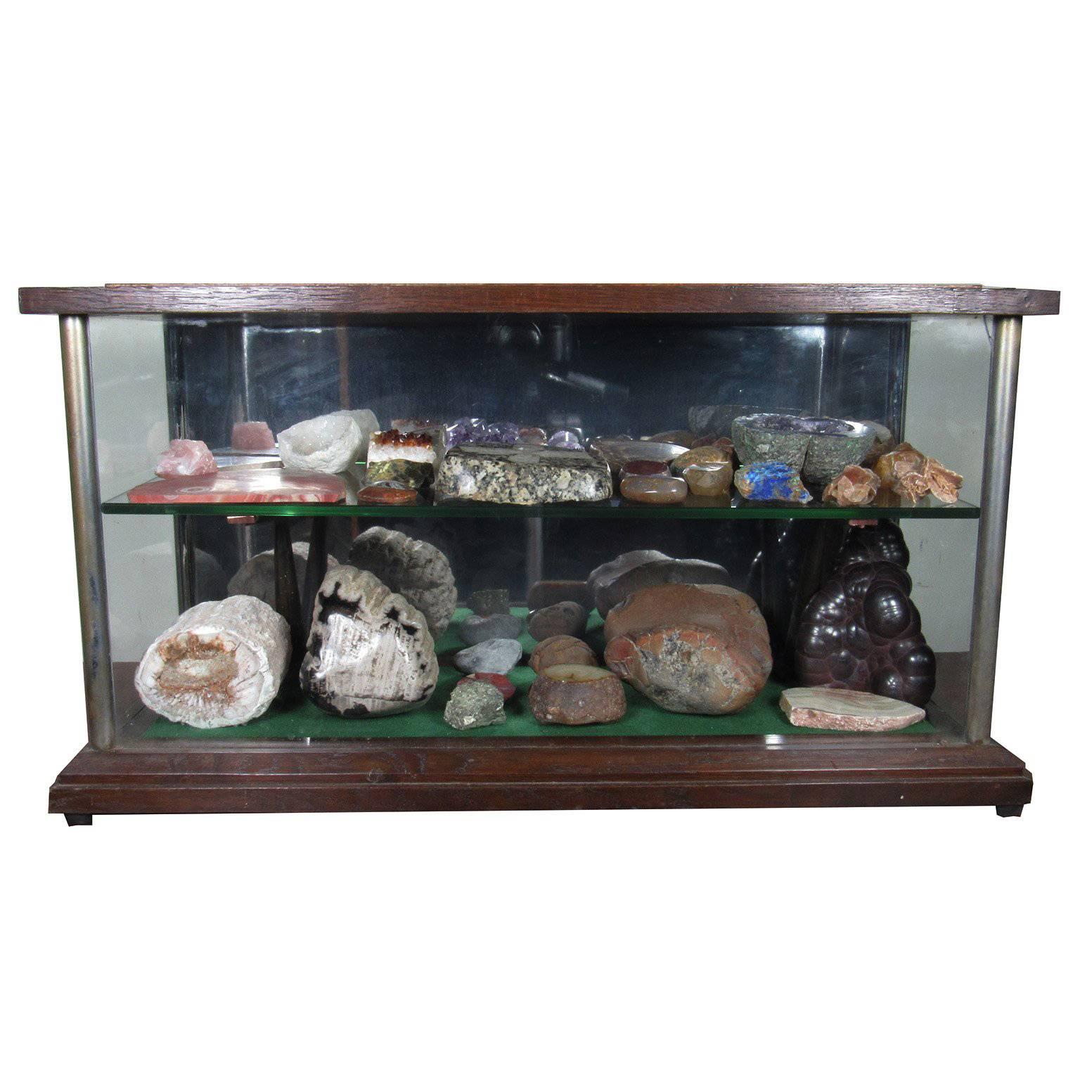 English Specimen Collection with 19th Century Mahogany and Glass Vitrine