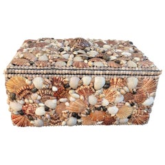 Vintage Jewelry Box Covered Pacific Seashell