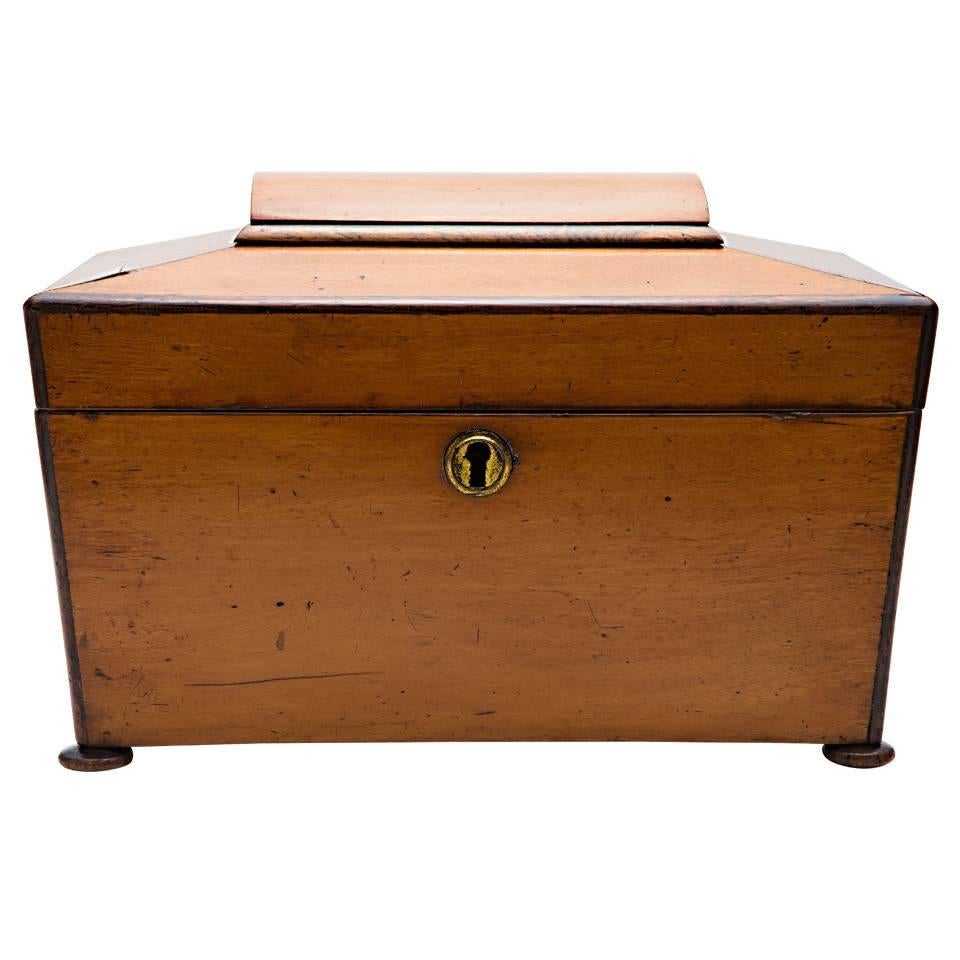 19th Century Satinwood Teacaddy For Sale