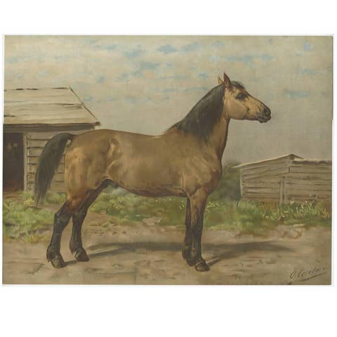 Antique Print of the Canadian Horse by O. Eerelman, 1898